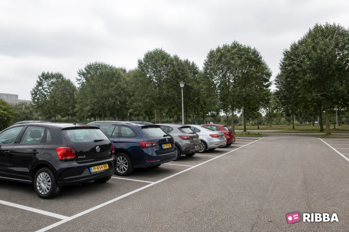 parkeergelegenheid in het verkeer