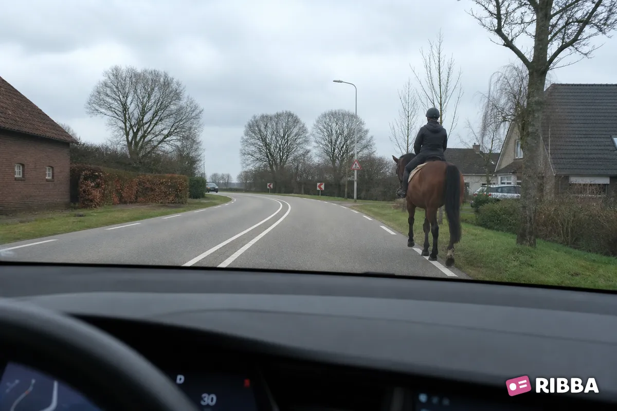 ruiter in het verkeer