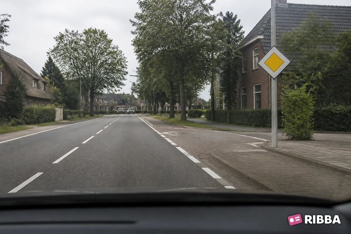 Bord B1 Voorrangsweg langs een Nederlandse weg