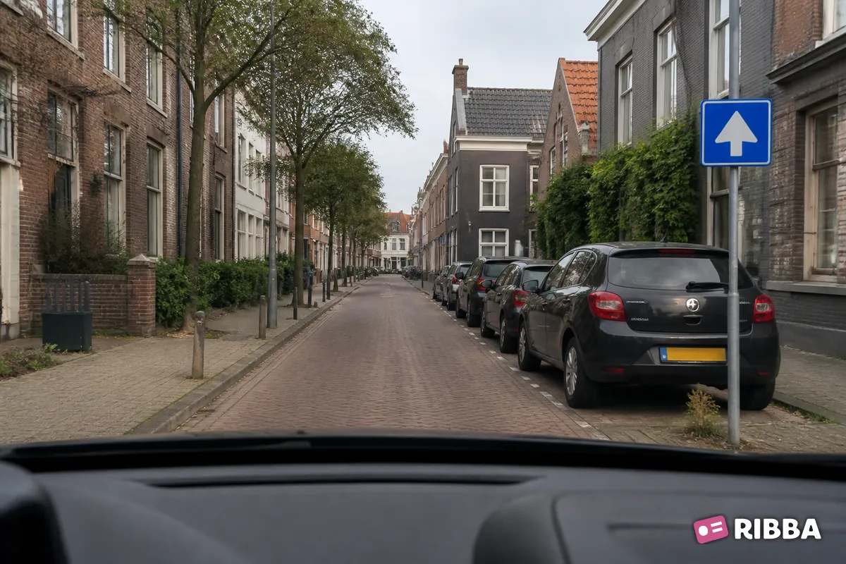 Bord C3 Eenrichtingsweg langs een Nederlandse weg