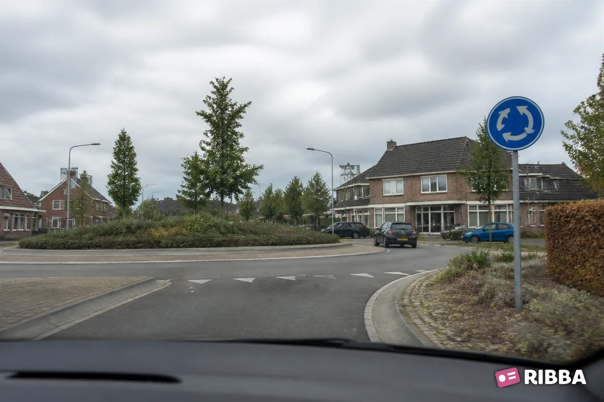 Bord D1 Rotonde; verplichte rijrichting langs een Nederlandse weg