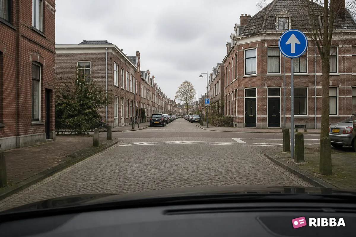 Bord D4 Gebod tot het volgen van de rijrichting die op het bord is aangegeven langs een Nederlandse weg