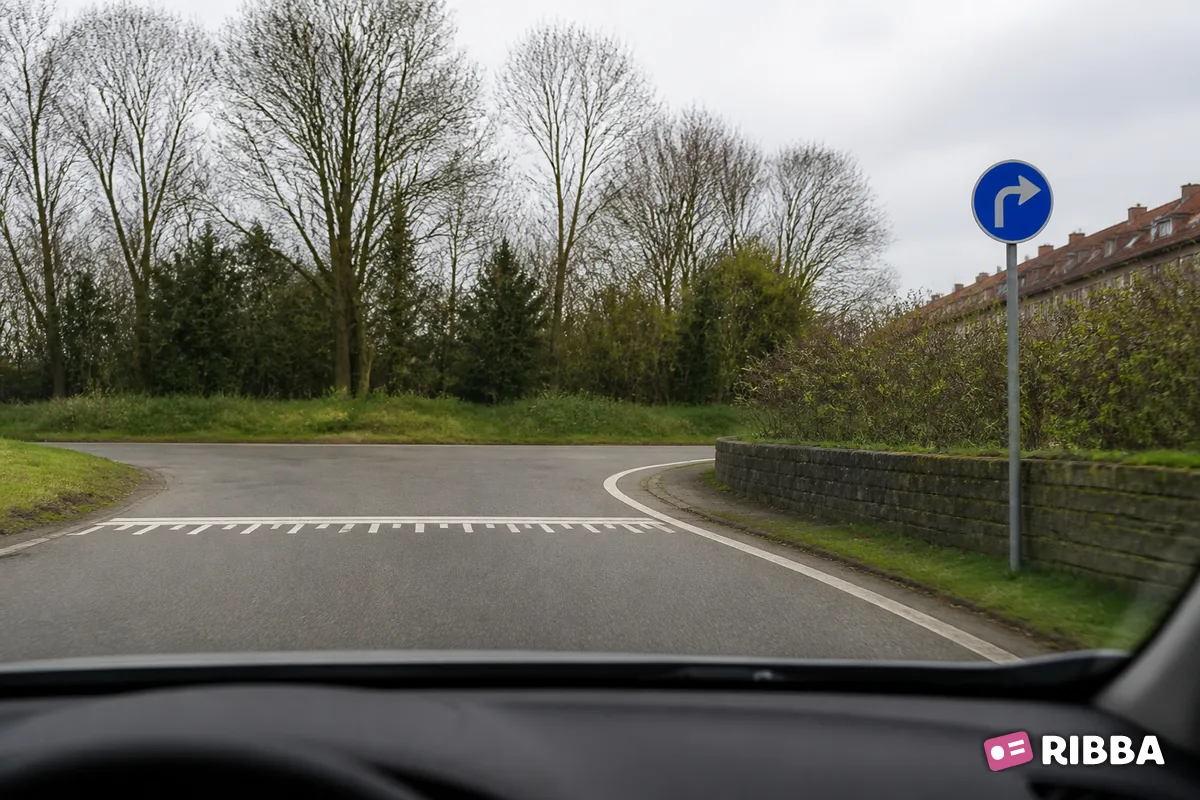 Bord D5 Gebod tot het volgen van de rijrichting die op het bord is aangegeven langs een Nederlandse weg