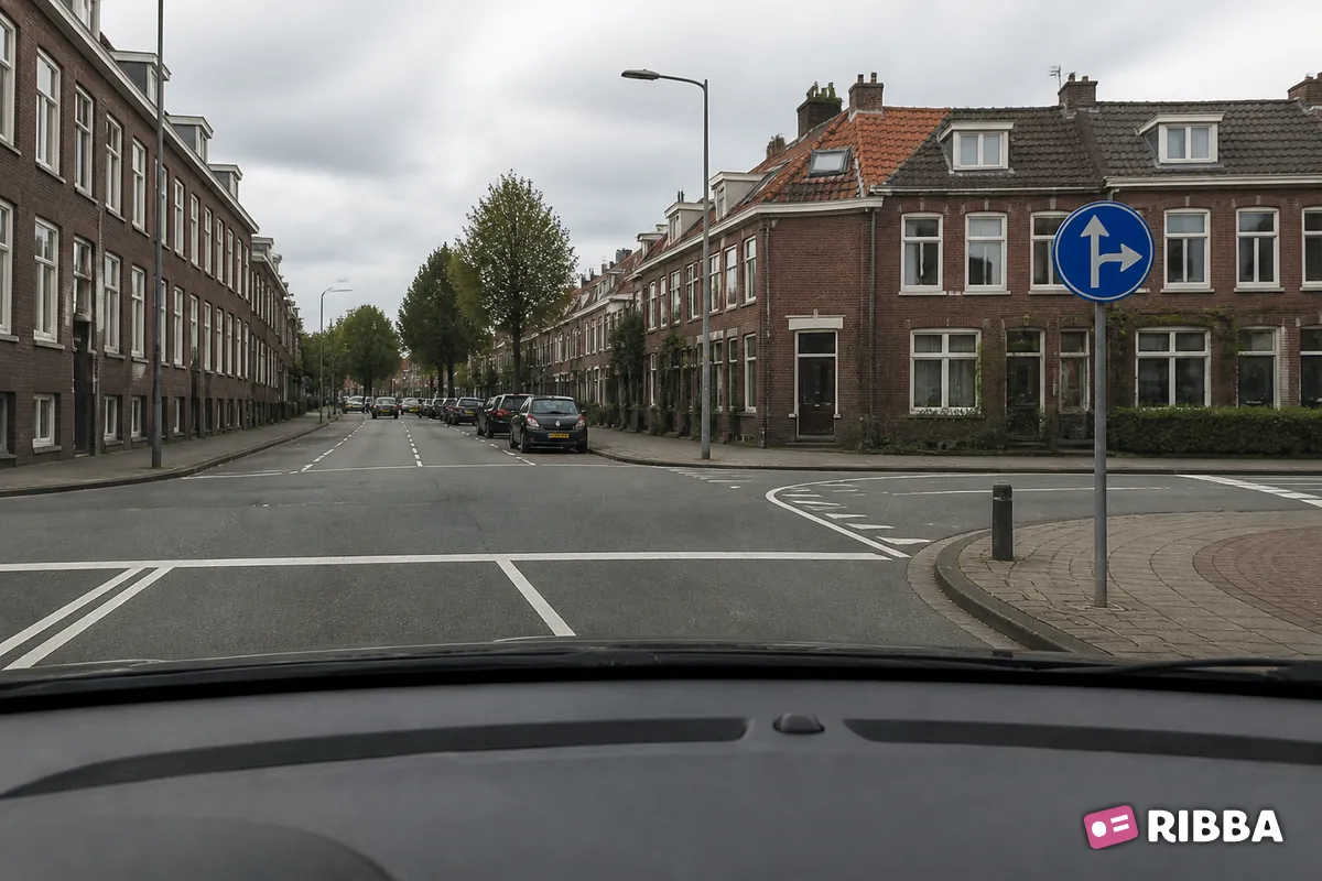 Bord D6 Gebod tot het volgen van één van de rijrichtingen die op het bord zijn aangegeven langs een Nederlandse weg