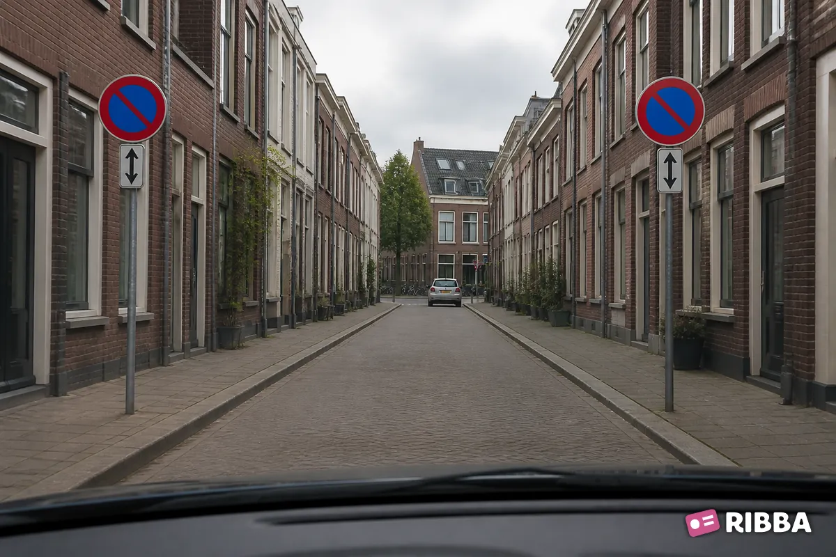Bord E1 Parkeerverbod langs een Nederlandse weg