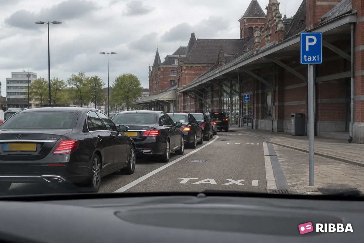 Bord E5 Taxistandplaats langs een Nederlandse weg