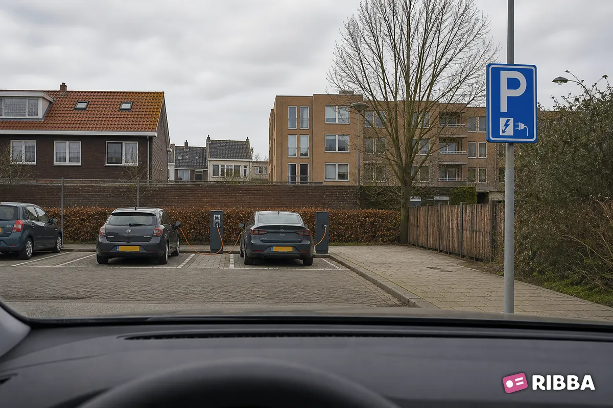 Bord E8c Parkeergelegenheid alleen bestemd voor het opladen van elektrische voertuigen langs een Nederlandse weg