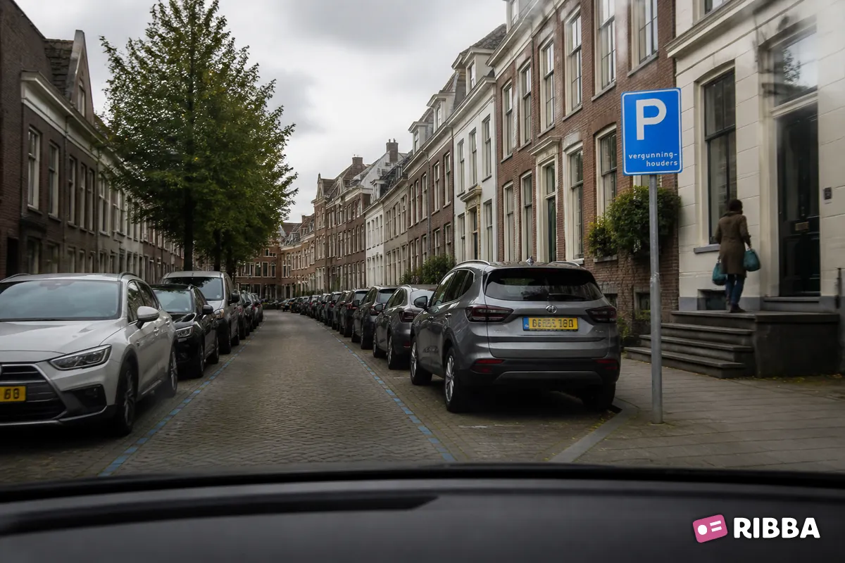 Bord E9 Parkeergelegenheid alleen bestemd voor vergunninghouders langs een Nederlandse weg