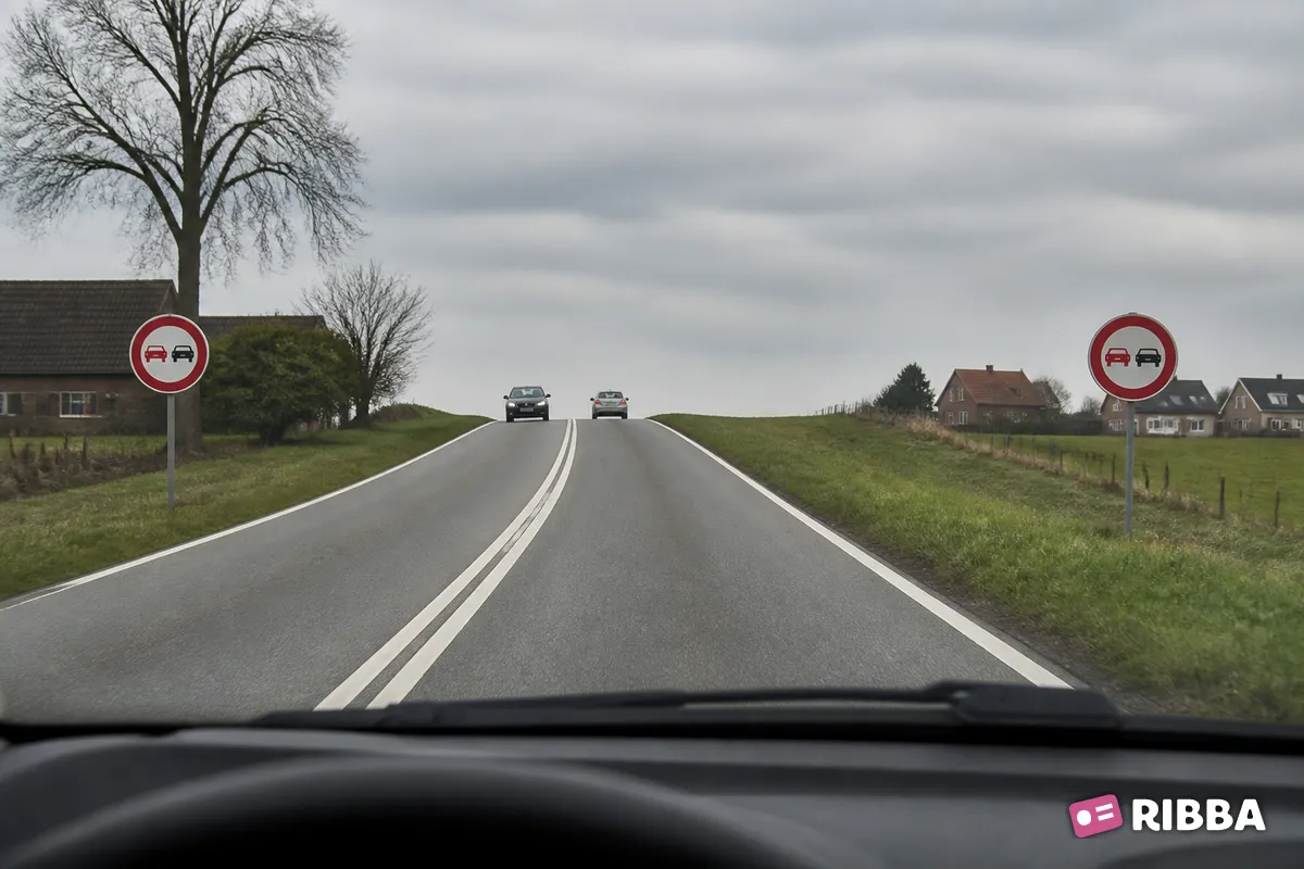 Bord F1 Verbod voor motorvoertuigen om elkaar onderling in te halen langs een Nederlandse weg