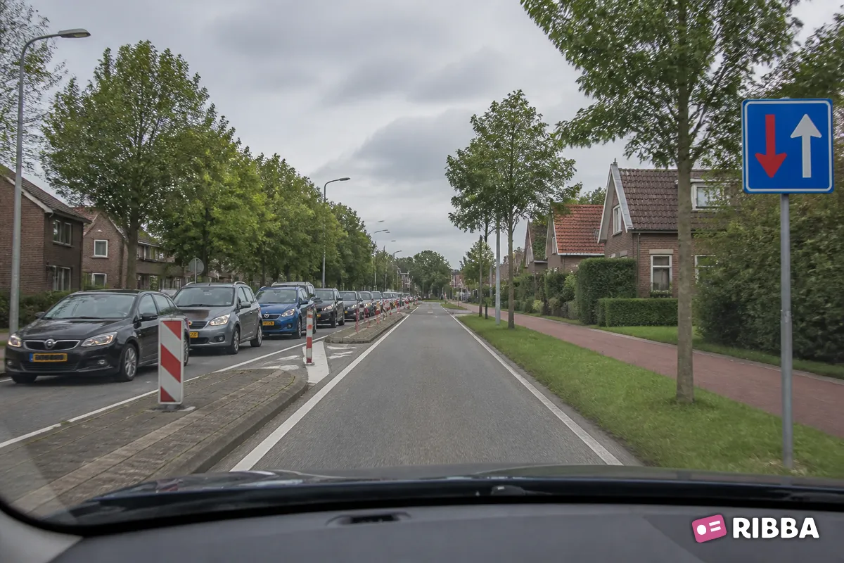 Bord F6 Bestuurders uit tegengestelde richting moeten verkeer dat van deze richting nadert voor laten gaan langs een Nederlandse weg
