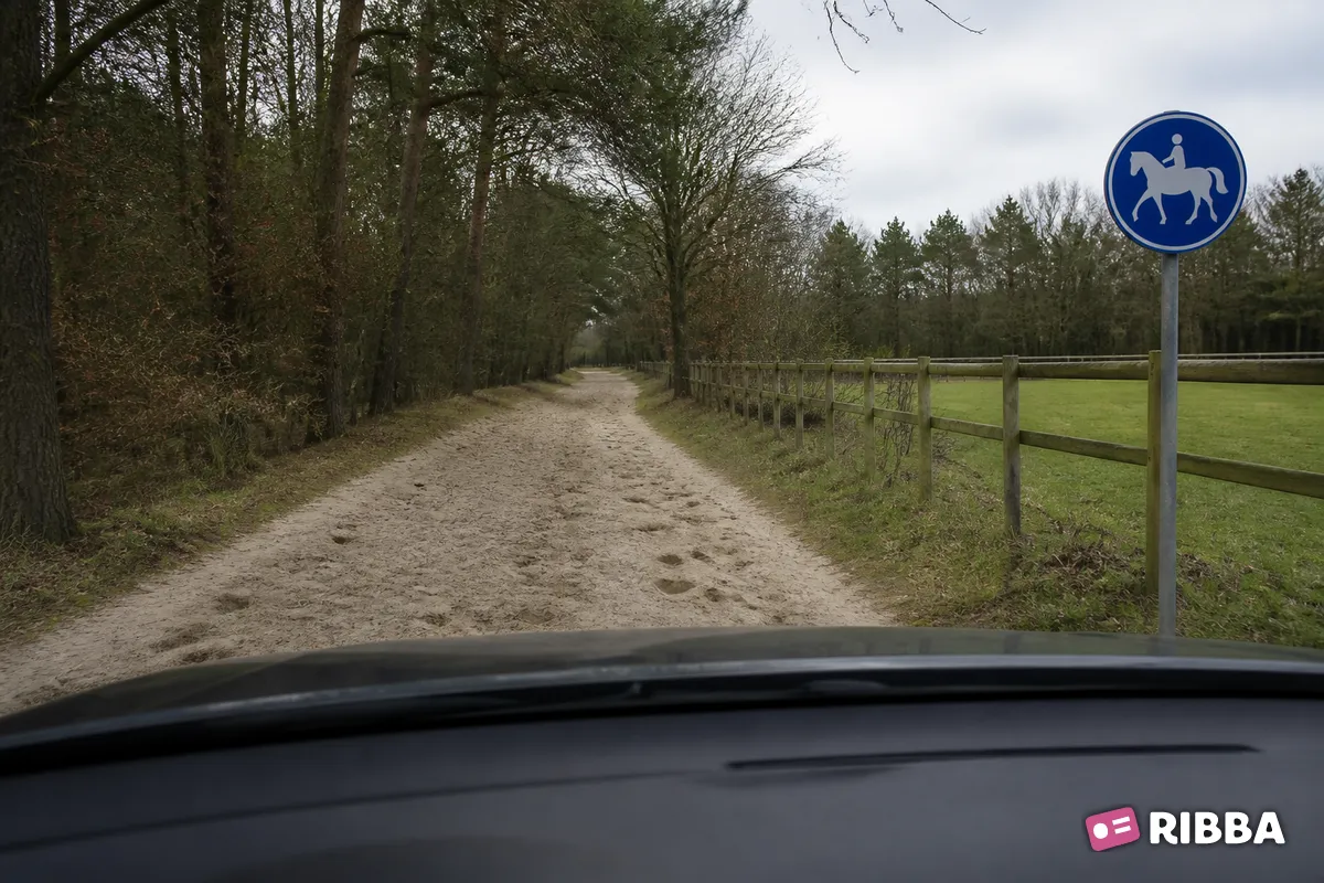Bord G9 Ruiterpad langs een Nederlandse weg