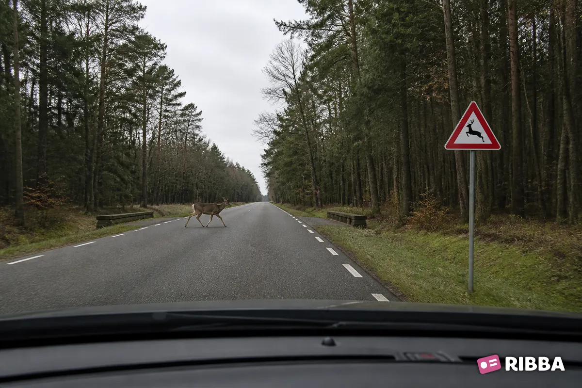 Bord J27 Groot wild langs een Nederlandse weg
