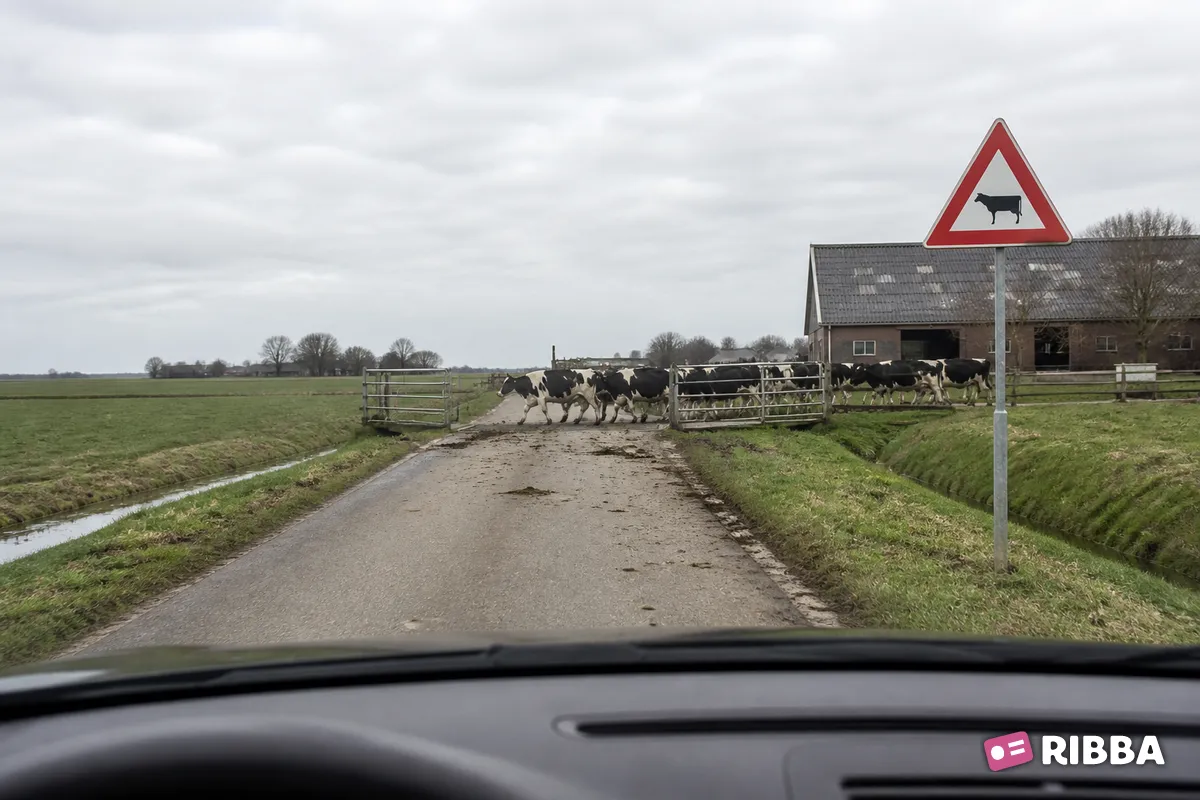 Bord J28 Vee langs een Nederlandse weg