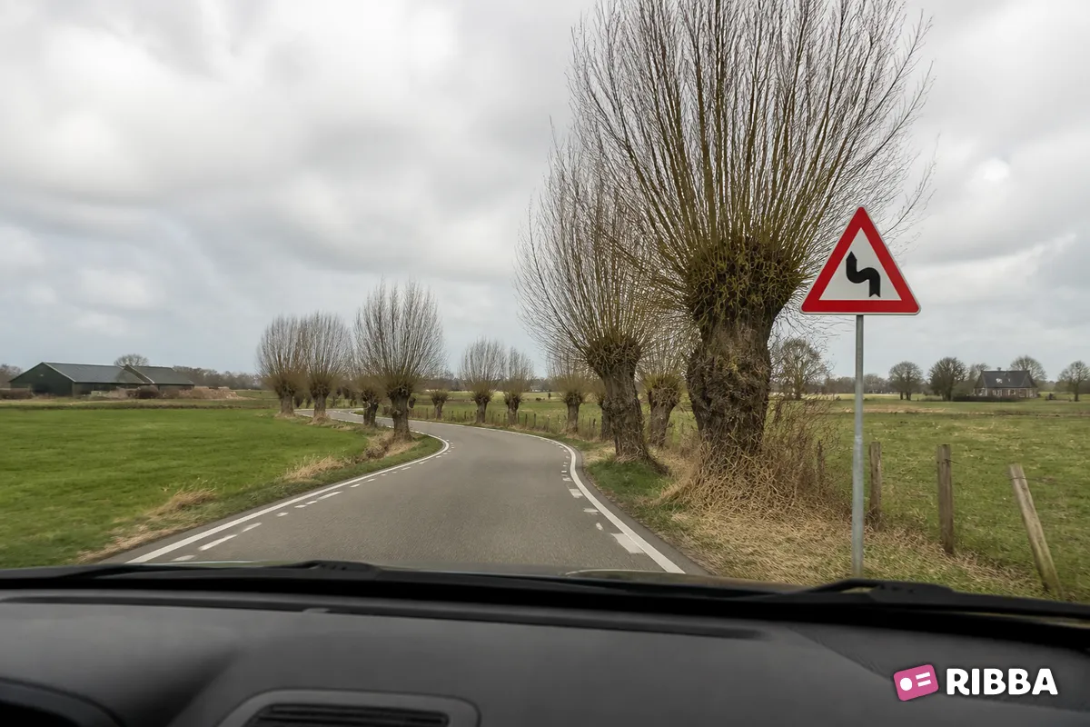 Bord J5 S-bocht(en), eerst naar links langs een Nederlandse weg